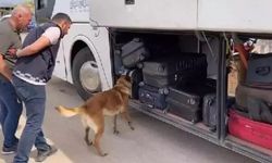 Yolcu otobüsünde 3 kilo 135 gram uyuşturucu ele geçirildi