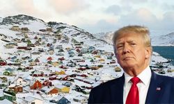 ABD, Grönland'ı satın mı alacak?