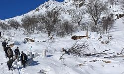 Ahırların üzerine çığ düştü, hayvanlar telef oldu