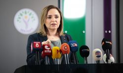 DEM Parti’den darp, işkence ve gözaltılara tepki