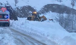 Batman’da hayat mücadelesi