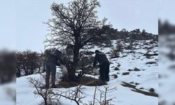 Batman'da yaban hayvanları unutulmadı