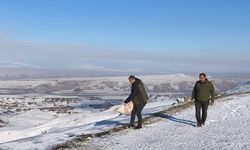 Batman'da yaban hayvanları unutulmadı