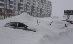 Bitlis kara gömüldü, 335 köy yolu kapalı