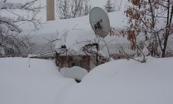 Bitlis'te tek katlı evler adeta kardan kayboldu