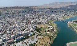 Cizre'de kafe sahibi ve 6 genç gözaltında