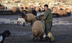 Cudi Dağı eteklerindeki göçerlerin kar sevinci