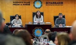 Diyarbakır Eşbaşkanı Bucak’tan Halep açıklaması