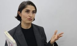 DEM’li Cupolo, çiftçilerin akıbetini Meclis’e taşıdı