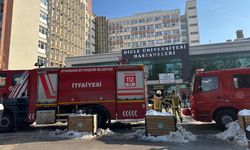 Diyarbakır Belediyesi: Yangın büyümeden söndürüldü