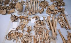 Diyarbakır Çayönü Tepesinin genetik haritası çıkarılıyor