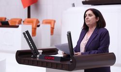 Diyarbakır Havalimanı krizi Meclis’e taşıdı