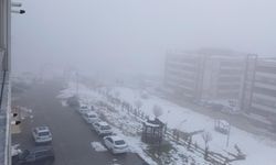 Diyarbakır Kulp’ta göz gözü görmedi