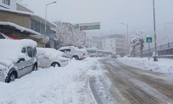 Diyarbakır Kulp’ta kar esareti