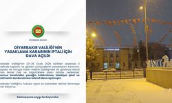 Diyarbakır Barosu 4 günlük yasağı yargıya taşıdı