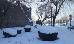 Diyarbakır'a kar yağdı, olay oldu