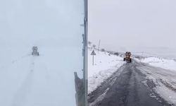 Diyarbakır’da 118 yerleşimin yolları açılmaya başlandı