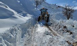 Diyarbakır’da 15 ilçenin kırsal yolları açıldı