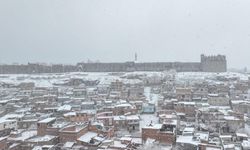 Diyarbakır’da 2026 beklentisi: Toplumsal demokrasi ve barış