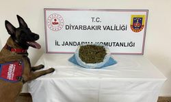 Diyarbakır'da 41 kilo esrar ele geçirildi