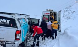 Diyarbakır'da doğayla mücadele: 4 hasta hastanelere ulaştırıldı