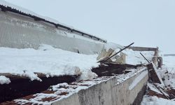 Diyarbakır’da kar ahırın çatısını çöktürdü: 11 hayvan telef oldu