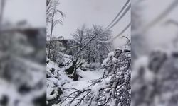 Diyarbakır’da kar kütlesi elektrik direklerini devirdi