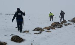 Diyarbakır'da kayıp 2 çocuk annesi kadın dronla aranıyor
