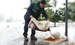 Diyarbakır'da sokak hayvanları yem ve mama