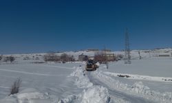 Diyarbakır'daki 17 ilçede, 433 vakaya müdahale