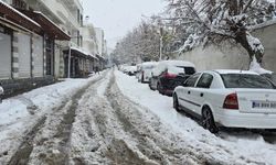 Diyarbakır’ın Çermik ilçesinin 3 ilçeyle bağlantısı kesildi