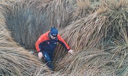 Diyarbakırlı Nimet Kılıç’a ne oldu? 10 gündür bulunamıyor