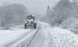 4 ildeki 778 yerleşim yerinde yol kapandı