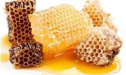 Dünyanın en pahalı balı; Bir kilosu 11 bin 118 avroya satıldı