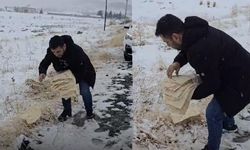 Diyarbakır'da yaban hayvanlarına duyarlılık