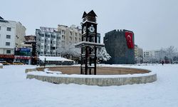 Diyarbakır ve çevre illerde kar yağışı sürüyor