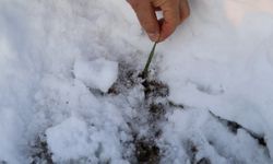 65 yılın rekoru kırıldı