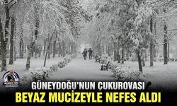 Güneydoğu’nun Çukurovası beyaz mucizeyle nefes aldı