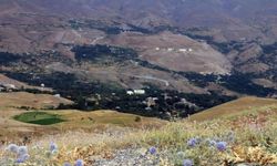 Hakkari’de şüpheli ölüm