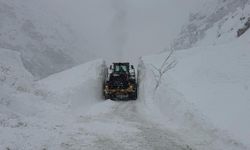Hakkari-Şırnak kara yoluna çığ düştü