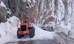 Hakkari-Yüksekova kara yoluna çığ düştü