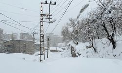 Hakkari'de 89 yerleşim yerinin yolu kapandı
