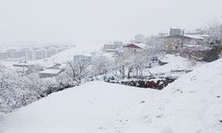 Diyarbakır Kulp'ta beyaz esaret devam ediyor