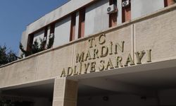 Mardin'de 2 tutuklama