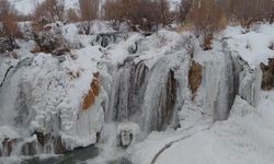 Muradiye Şelalesi dondu