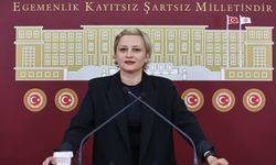 “Leyla Şahin Usta Alevilerden derhal özür dilemeli”