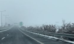 Şanlıurfa'da kar yağışı