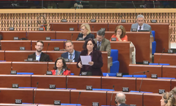 DEM Parti Diyarbakır Milletvekili Çelenk Avrupa Konseyi Parlamenterler Meclisi’nde konuştu