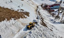Siirt'te çığ düşen yol temizlendi
