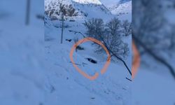 Şırnak'ta bir evin üzerine çığ düştü